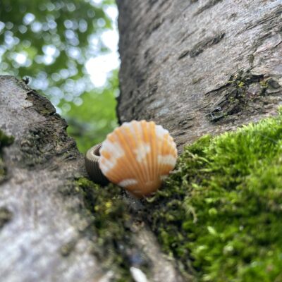 Inel din scoica naturala - "Puterea valurilor"